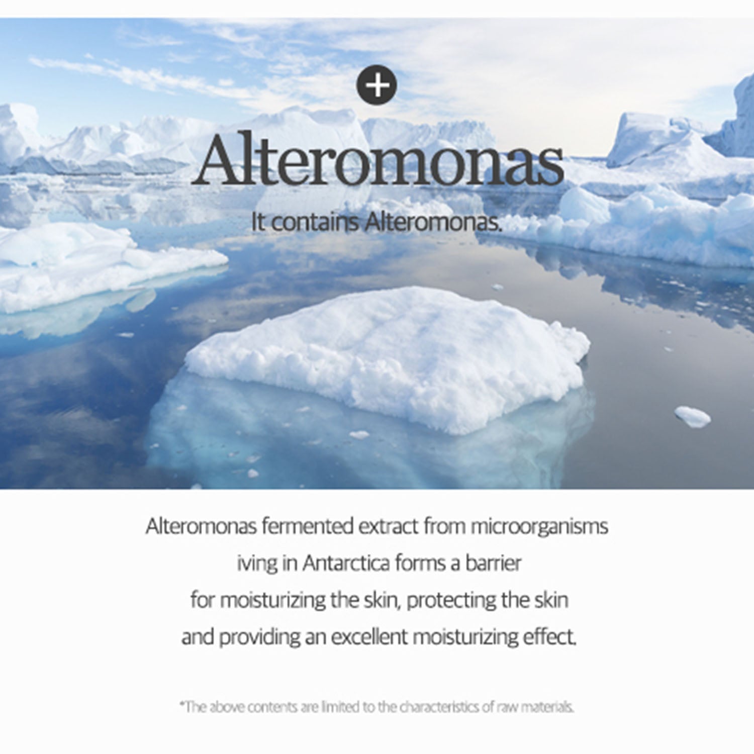 MIXSOON Centella Cleansing Foam [150ml]