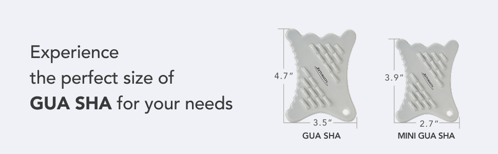 ريترنيتي 3D غوا شا ميني